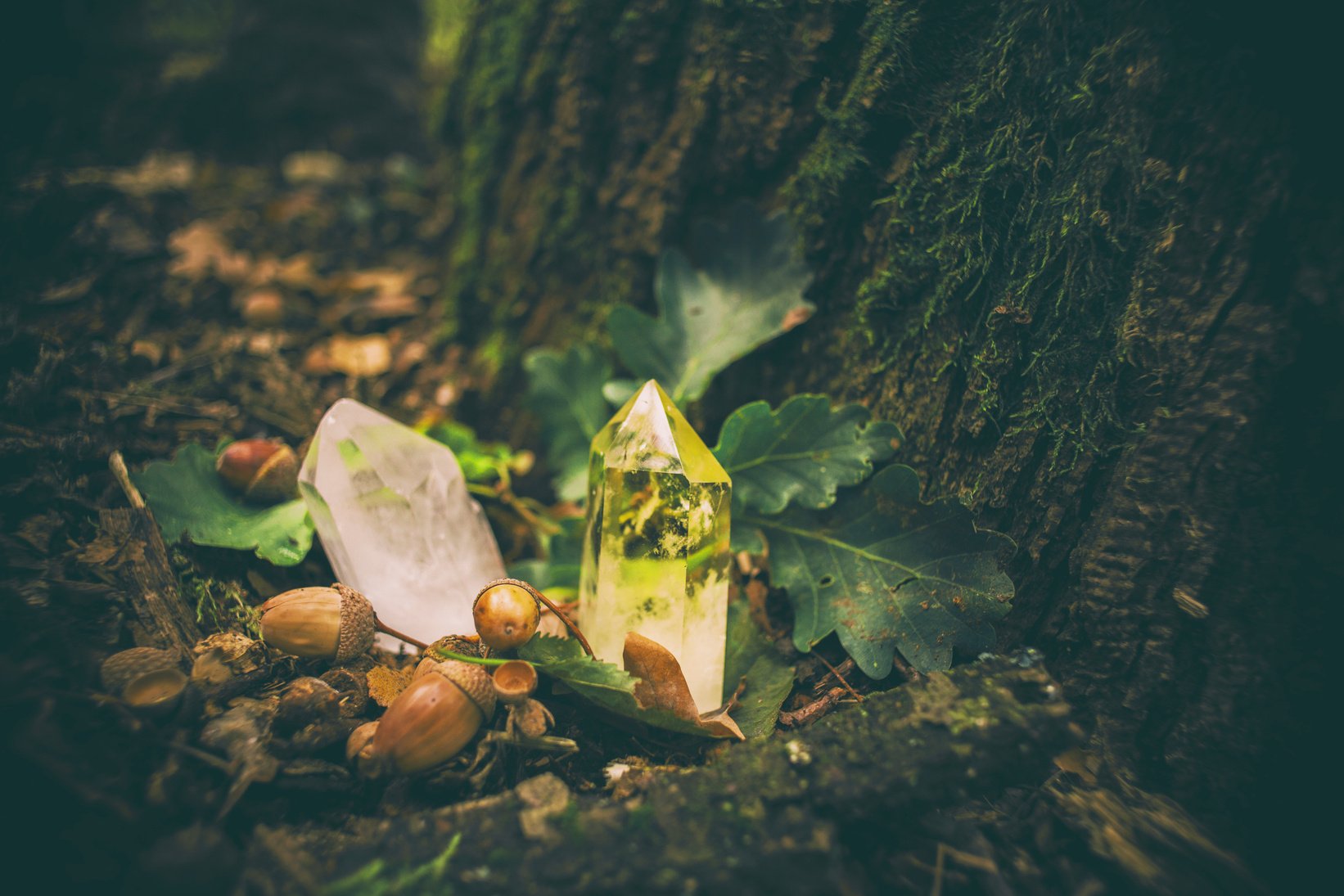 Beautiful crystals in the forest, crystal healing